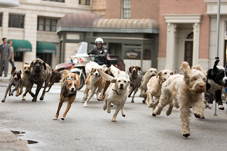 Собачья пробежка по городским улицам (Отель для собак)